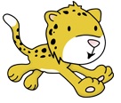 Cheetah 